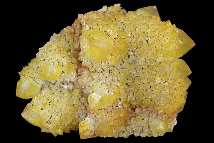 Sunshine Cactus Quartz Crystal - South Africa #96262